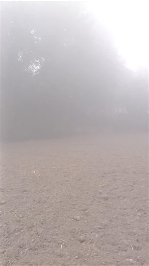 Karan Gupta on Instagram: "#847232"