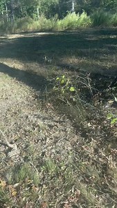 2.7K reactions · 120 shares | Yellow Jackets!!  Thankful for a cab tractor!! Bobcat Company | Bucks Of Tecomate | Facebook