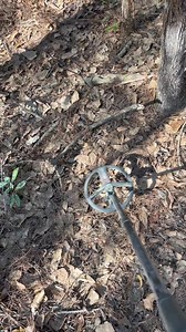 While doing some metal detecting where i suspect an early plantation once stood, i found some pretty neat artifacts scattered about! Im fairly confident this place was completely abandoned by 1800. | endless_search_