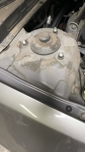 Nonsense All Purpose Cleaner for a Sparkling Engine Bay!