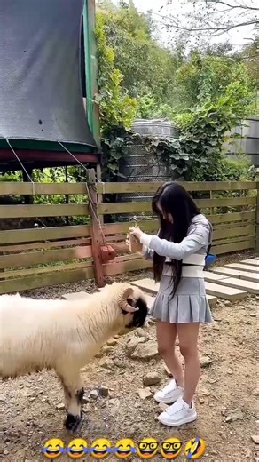 epic funny short part-25😂😭😭#shorts #funny #comedy #trendingshorts #reels #fails