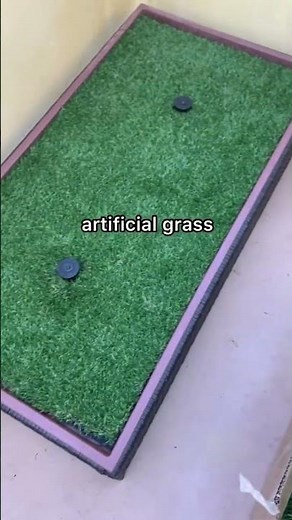 Live Grass Dog Potty!