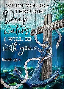 HOIYLDS Diamond Art Painting Kits for Adults - Round Full Drill Diamond Dots Paintings for Beginners, 5D Paint with Diamonds Pictures Gem Art Painting Kits DIY Adult Crafts Diamond Art Project Kits