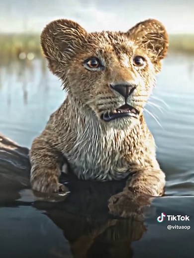 Explore the Cute Moments of Mufasa and Taka