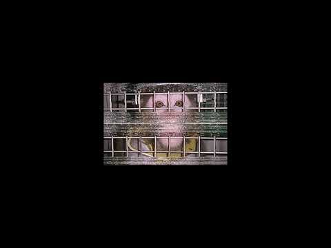 Video for Testure by Leæther Strip. This is a cover version of the original by Skinny Puppy