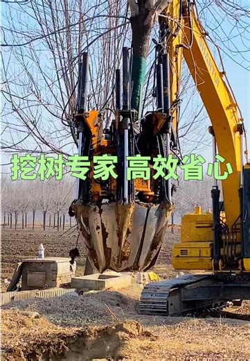 #treespade #treespade machine #treespade for sale #tree mover China's tree digger