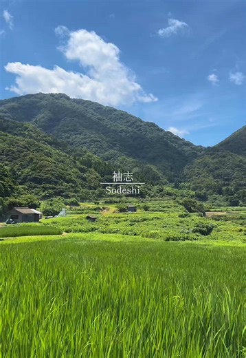 京丹後の夏の魅力を探る！