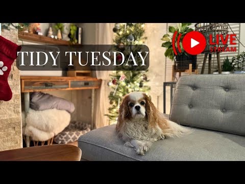 Tidy Tuesday: Thanksgiving Prep LIVE (Accountability Buddy Hangout)