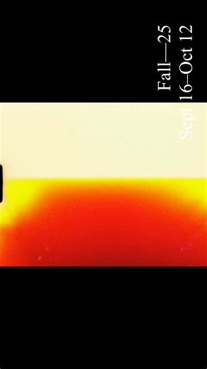 An inherently ephemeral form of expression, NYCB's current dancers reinterpret ballet classics with fresh perspectives and bring new works to life with their unmatched artistry. Attend a performance this fall to witness unforgettable moments, NOW – OCT 12. | New York City Ballet