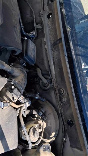 Jose Feliciano on Reels