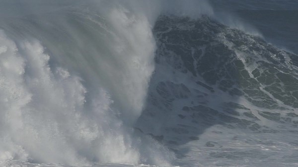 Kalanilattanzi no TikTok