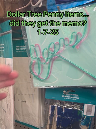 Discovering Dollar Tree Deals and Customer Service