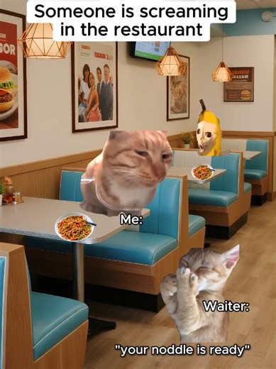 Funny Cat Memes: Cats Screaming Over Hot Noodles