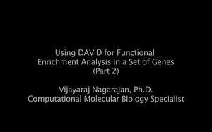 利用David对一组基因进行功能富集分析(第二部分)