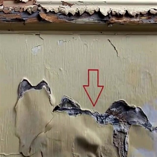 A simple way to get rid of mice ❌🐀🐀 | Video Feed