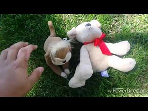 UTF1997 Magical Event: Magic Tree