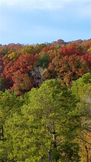 Fall is calling. With 10 state parks all within driving distance of Greenville, there’s no better time to hit the trails, chase waterfalls, or take in those golden views from above. From mountaintop overlooks to quiet lakeside paths, each park shows off its own version of fall color, making it the perfect day trip (or weekend escape) this season. 🎥: upstateoutdooradventurer #VisitGreenvilleSC #SouthCarolinaStateParks #DiscoverSC | VisitGreenville SC