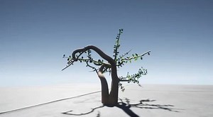 在UE4中导入了一个speed tree的生长动画