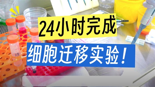 细胞迁移实验全流程，一步不落实录！