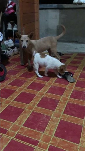 Hehehehe! Lab2 sa mami😊😂🤣🫶💙💙💙