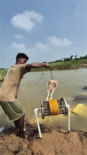 Rope trap fishing using whole chicken bait
