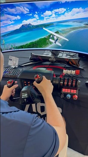 How much would you pay for this flight simulator setup?