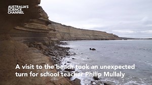 4.8K views · 41 reactions | Anyone can contribute to science, even an arts and humanities school teacher like Philip Mullaly. The fossil enthusiast discovered an incredible set of fossilised teeth from a prehistoric mega shark 麗 Read more about the important discovery in collaboration with Museums Victoria palaeontologists: bit.ly/2P4JjlB | Australia's Science Channel | Facebook