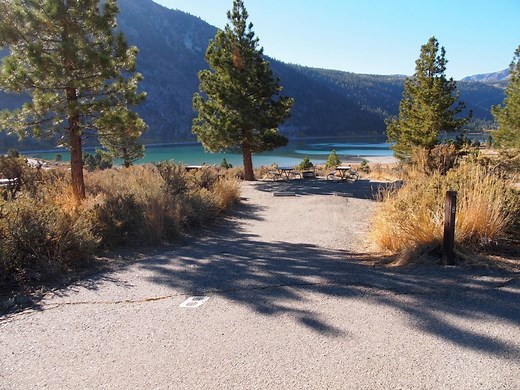 Oh Ridge Campground Reviews