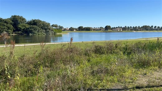Gator sighting en route to Naples this morning | George Pilzer