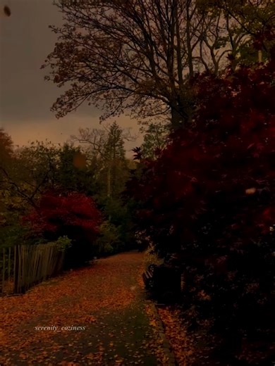 Autumn Serenity Aesthetic Video
