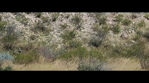 24K views · 202 reactions | Spot The Sniper In 10s Before He Kills You.. Did u Find Him ? | Sniper Army | Facebook