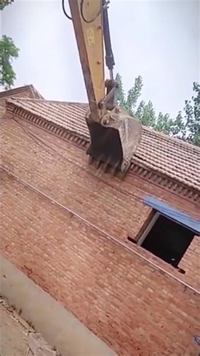 Excavator Demolishing House | Good tools and machinery can increase work efficiency