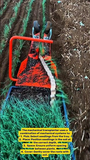 Mechanical Transplanter in Action: Planting Made Easy! 🌱