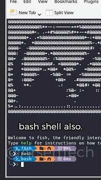 Customize Your Bash Terminal In Minutes!