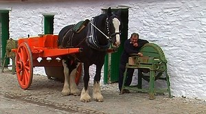 38K views · 725 reactions | Traditional Farming at Muckross Farms "Preserving the Past" Watch the full video for free on our Youtube channel https://youtu.be/r2QhFbFY2G4 | Videos of Irish Farming Life | Facebook