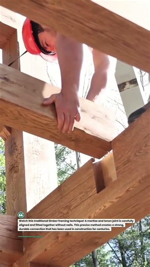 Perfect Timber Joinery! #woodworking #construction #DIY #shorts #builder #tools