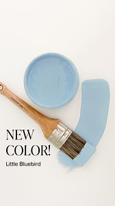 Introducing "Little Bluebird": one of six brand new limited edition colors! Little Bluebird is a soothing, airy shade of blue with a delicate balance of softness and vibrancy. Evoking the tranquil charm of a clear sky on a crisp morning, this pastel hue carries subtle undertones of gray, making it versatile for both modern and classic aesthetics. Perfect for creating serene spaces, it pairs beautifully with colors like Simplicity, Sunday Tea, or Peacoat for a sophisticated contrast. To enhance i