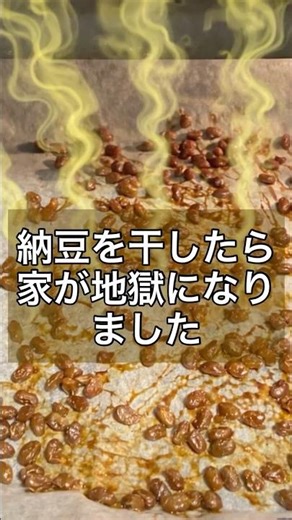 Making dried natto turned my house into hell #cooking