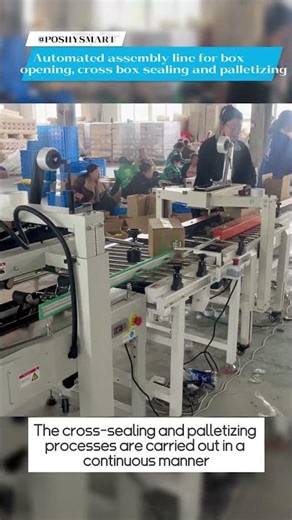 Automated assembly line for box opening, cross box sealing and palletizing