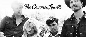 The Common Linnets - Alchetron, The Free Social Encyclopedia