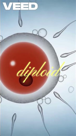 understanding human #reproduction#shortsvideo #1min