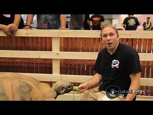 Snake Bytes TV - Reptiles Invades Japan ; SnakeBytesTV