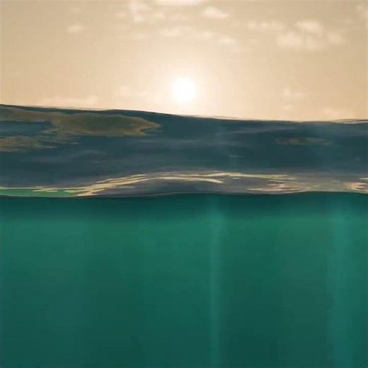 🦆 The Yellow Rubber Duck had enough! // Sunset / Blender animation