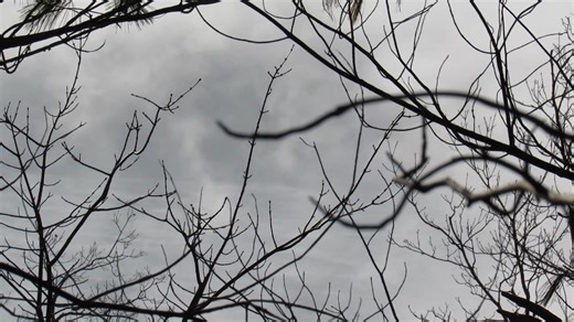 Video of the mist movin across Watauga Lake❣️😎 | Marlene Simpson