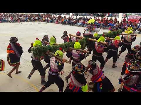 Danza Viga Huantuy - Festival de Danzas Mariscal Cáceres 2018, "4to F"