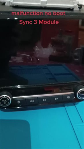 Björns Ford Bastelei on TikTok