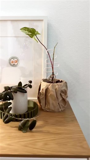 Michelle A. on Instagram: "What would you print? ⤵️ 👉Say “DETAILS” if you’d like to learn about my 3D printing setup from @bambulab_official along with the files I used to make all of these home decor and plant care goodies! I’ve had this for about 3 weeks and it has been running NON-STOP. All of these are free designs that anyone can print for personal use! Who knew it was so accessible and easy 🤌 . . . . . #bambulab #bambulaba1mini #bambulaba1 #3dprinting #plantsofinstagram"