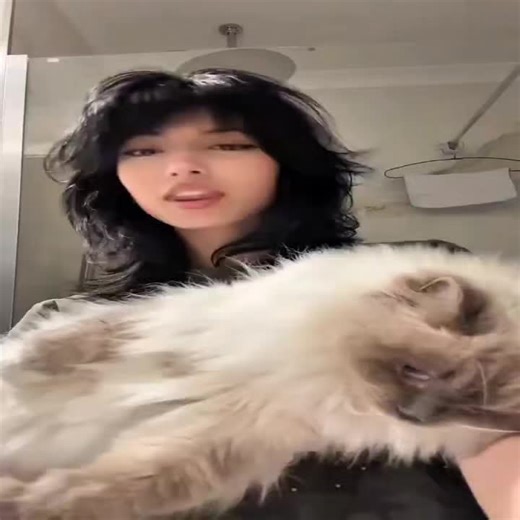 Creating Smooth Video Edits with Zira Style