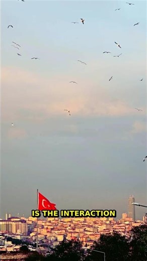 You've Been Misusing 'synergy' Your Entire Life. Here's Why: | Busi...