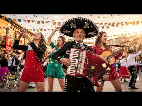 🎼🌍 European Waltz Feel | Accordion-Driven World Folk Polka ✨